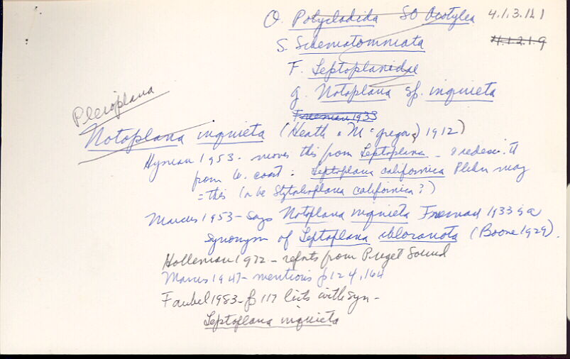 index card