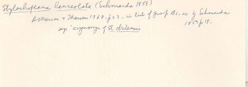 index card