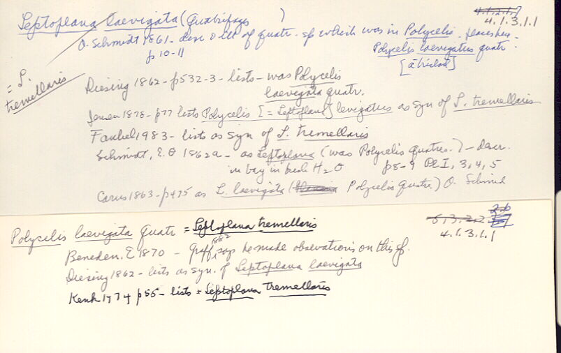 index card
