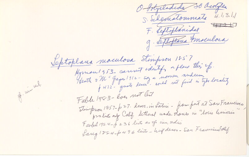 index card