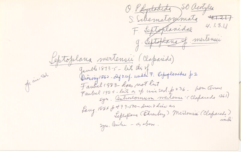 index card