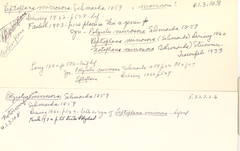 index card