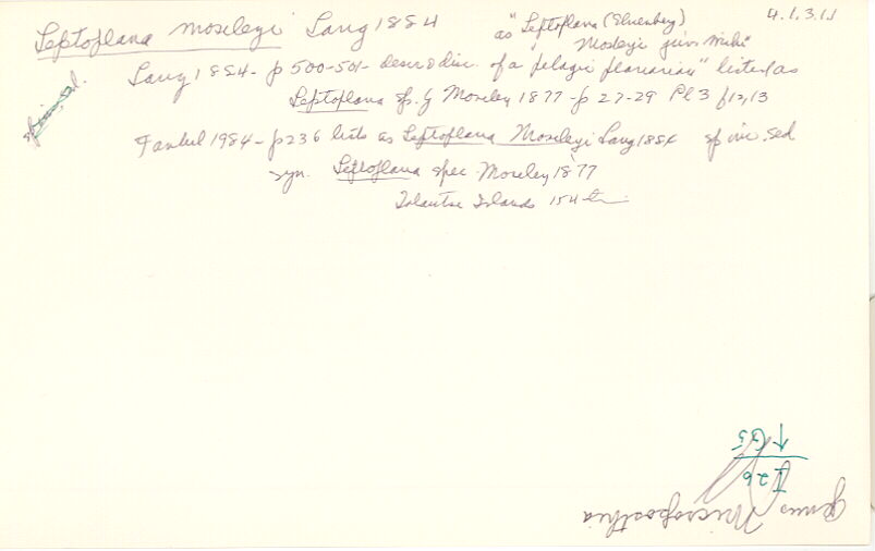 index card