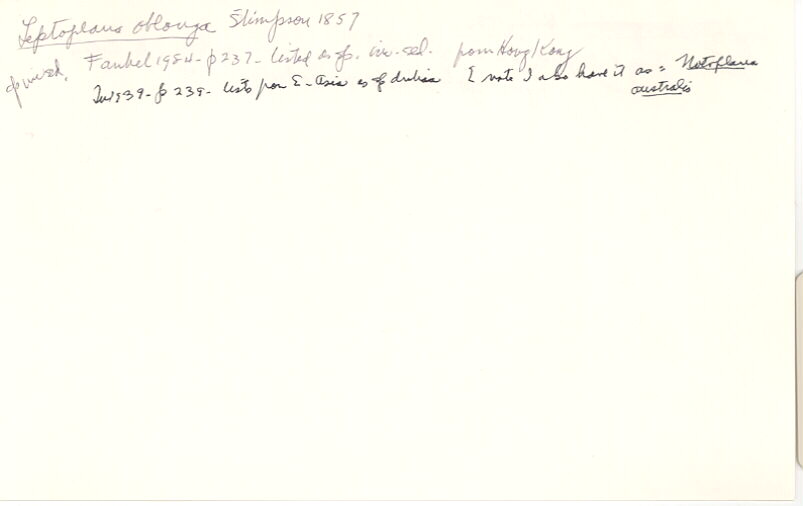 index card