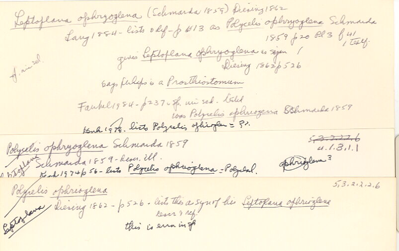 index card
