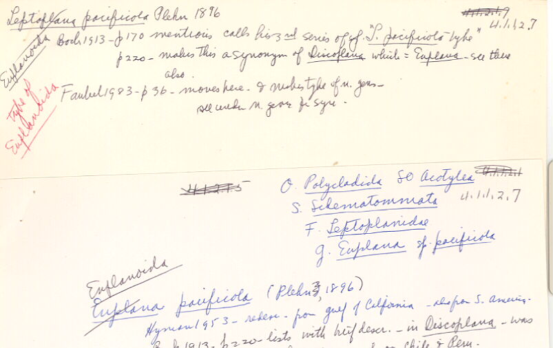 index card