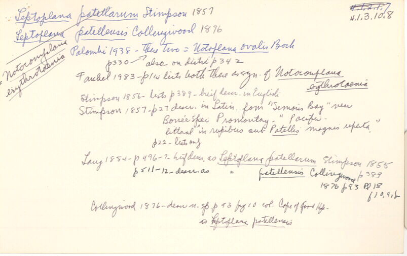 index card