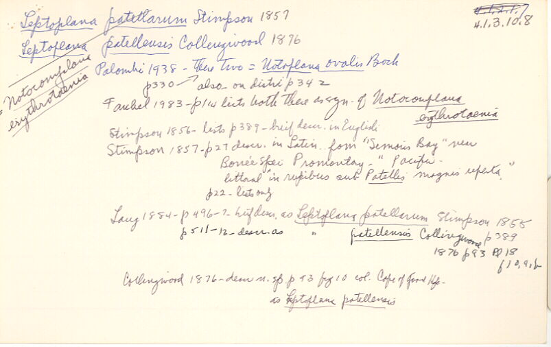 index card