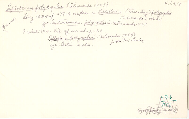 index card