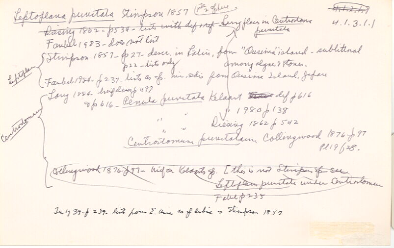 index card
