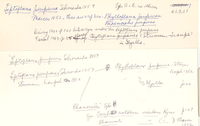 index card