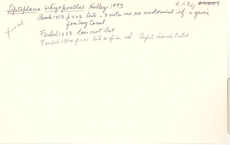 index card