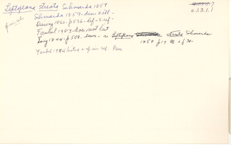 index card