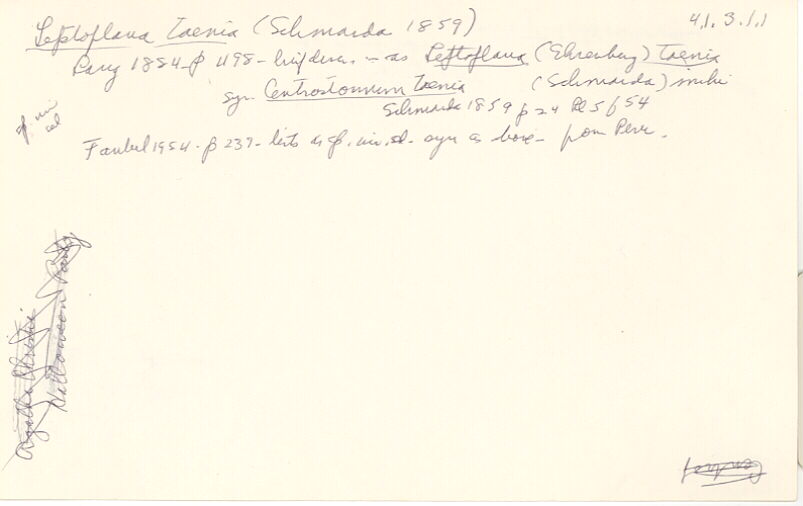 index card