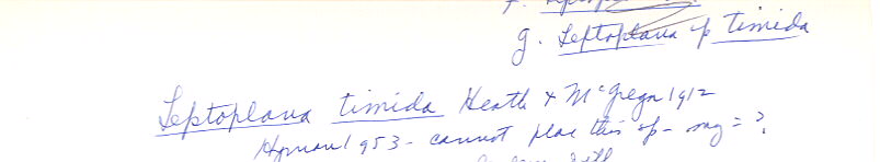 index card