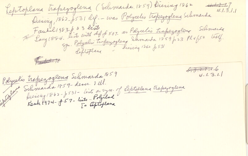 index card
