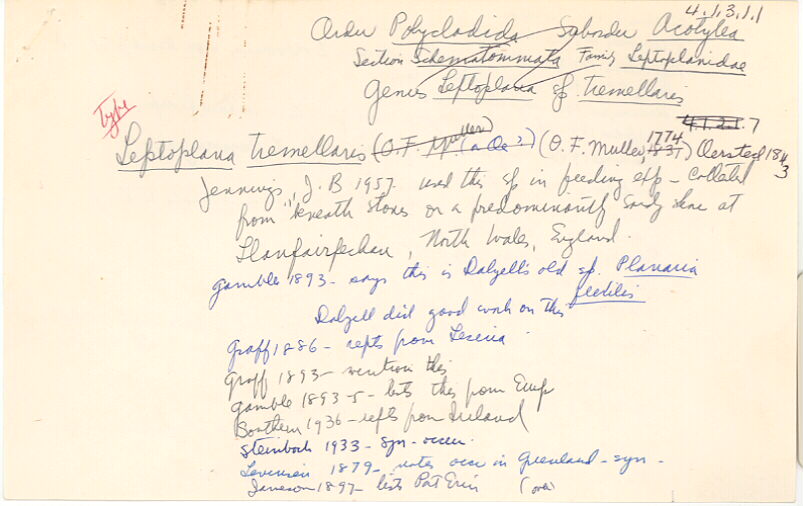 index card