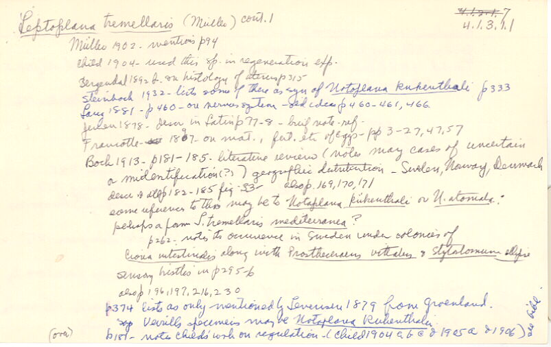 index card