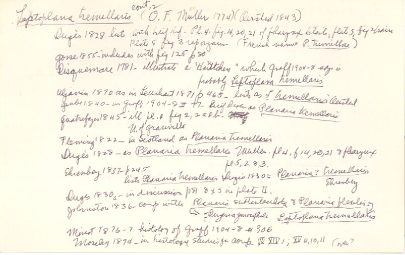 index card