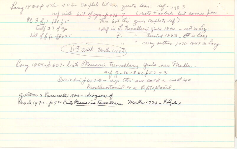 index card
