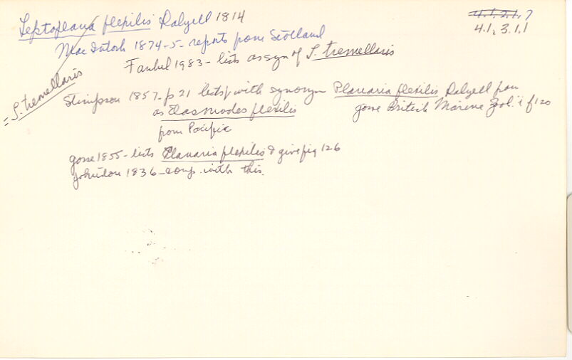 index card