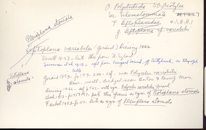 index card