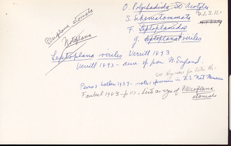 index card