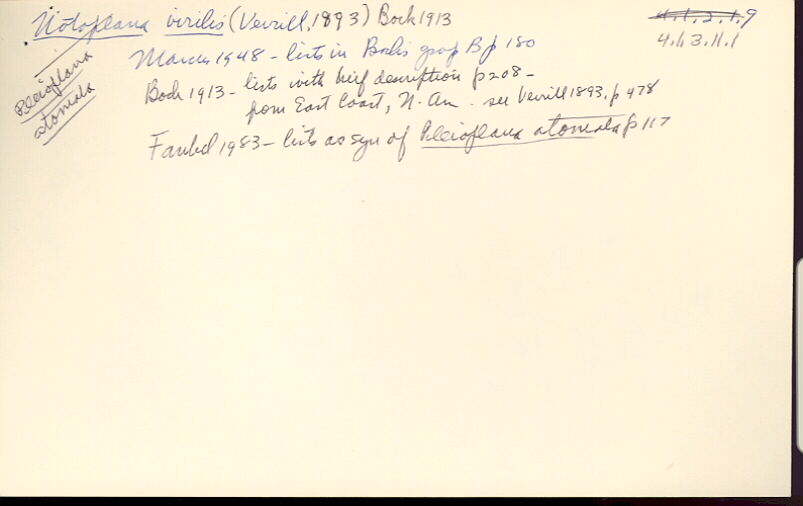 index card