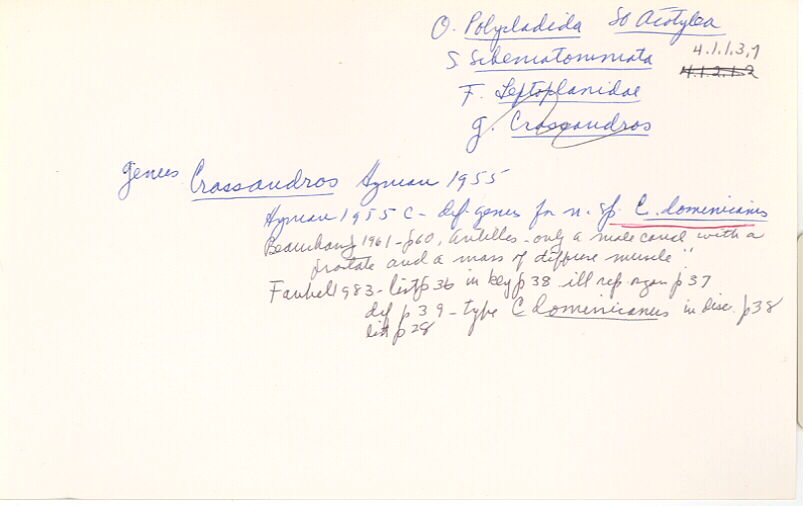 index card