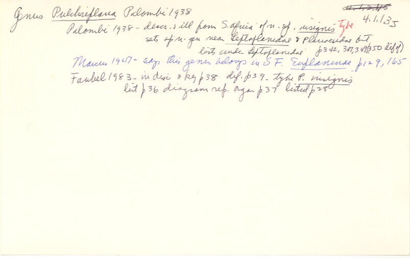 index card