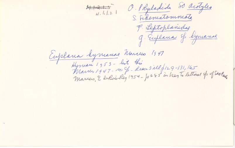 index card