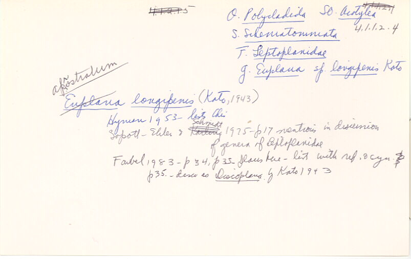 index card