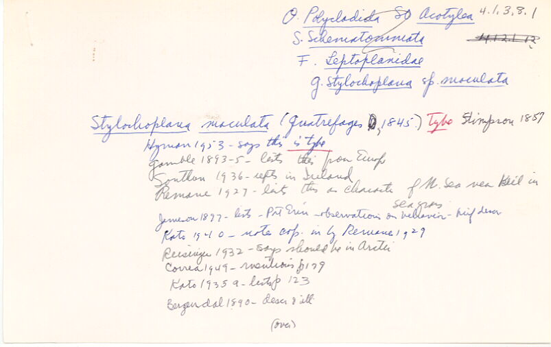 index card