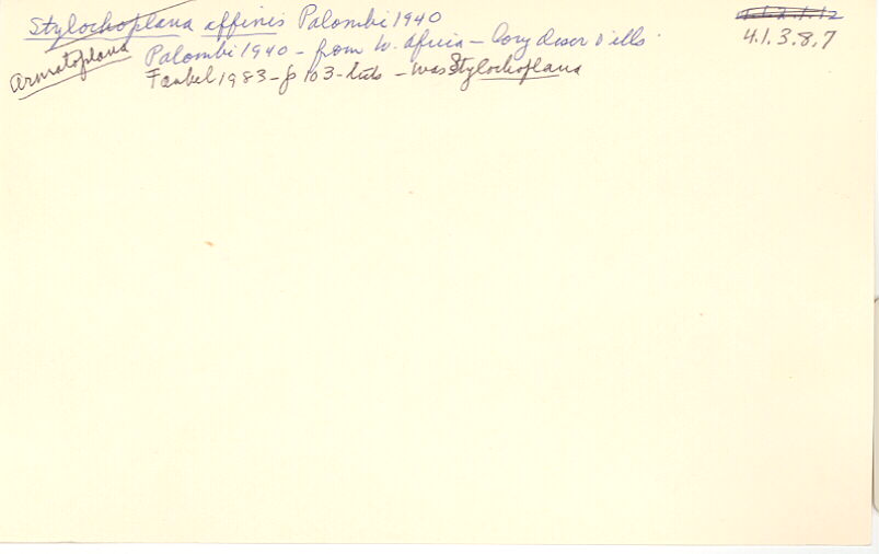 index card