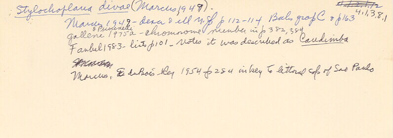 index card