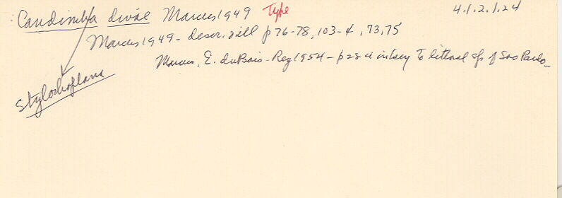 index card