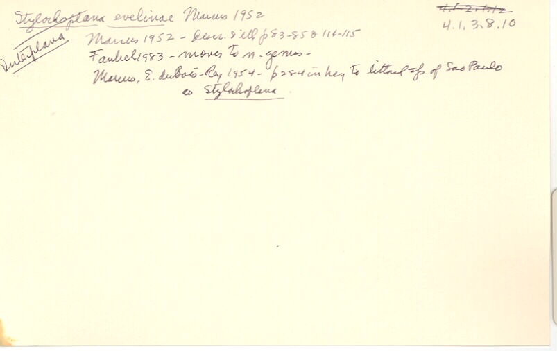 index card