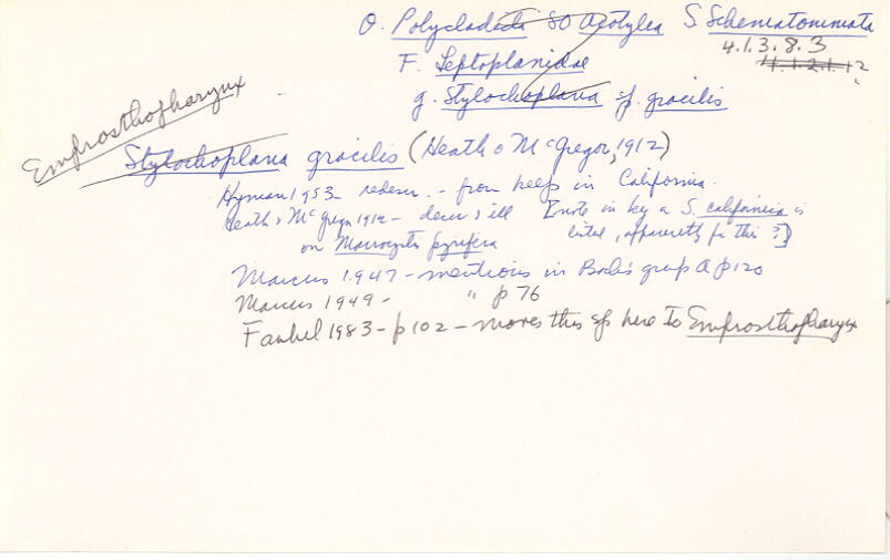 index card