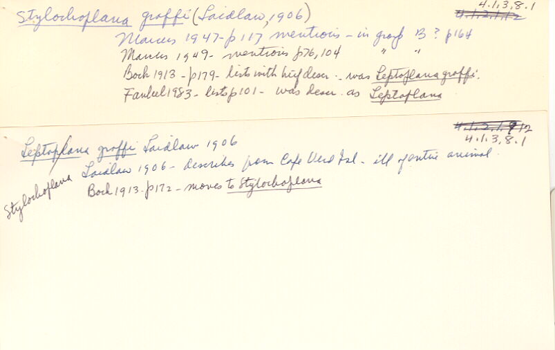 index card