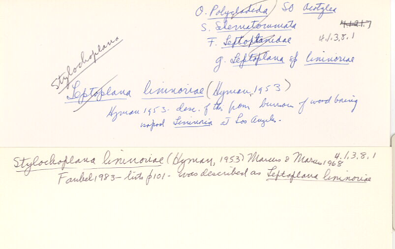 index card