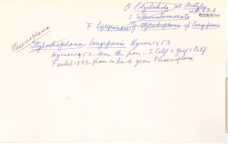 index card
