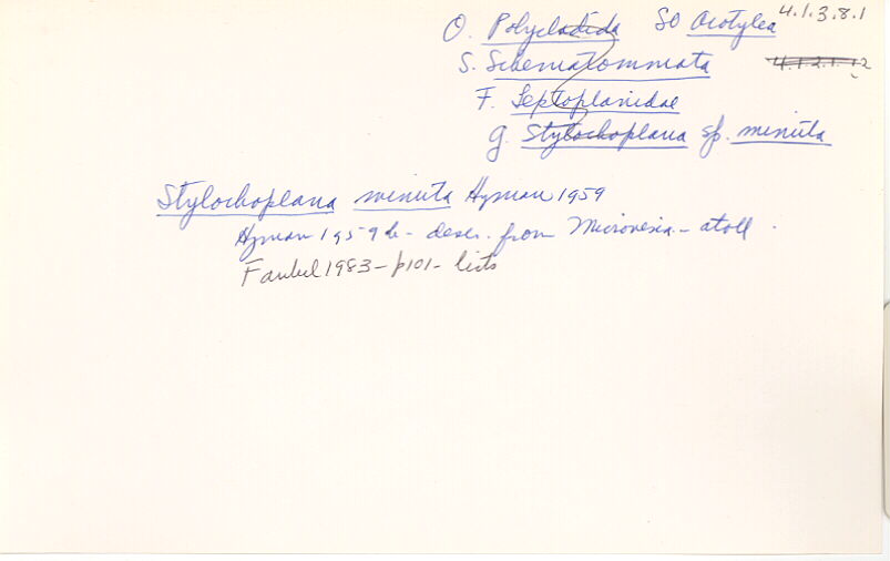 index card