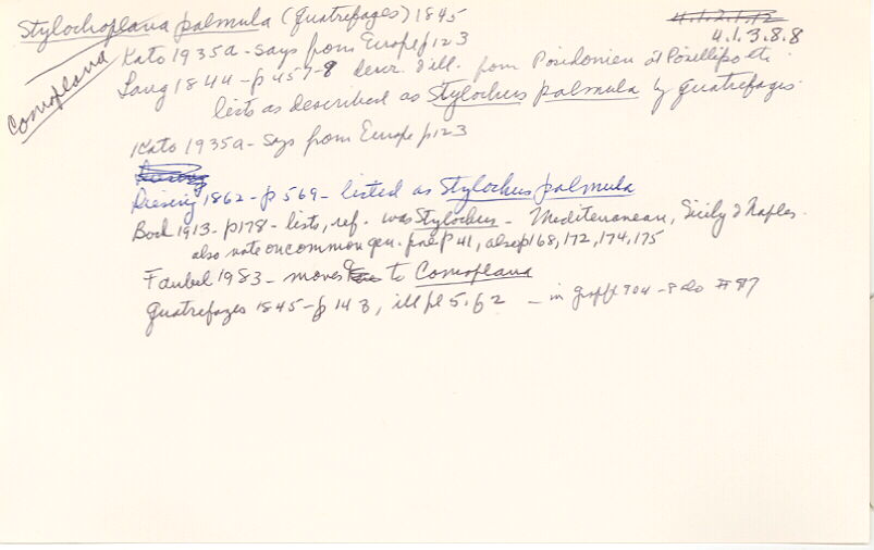 index card
