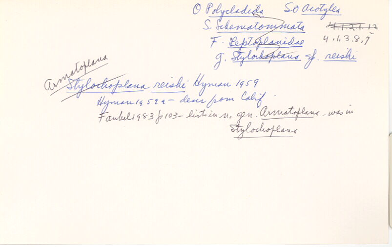 index card