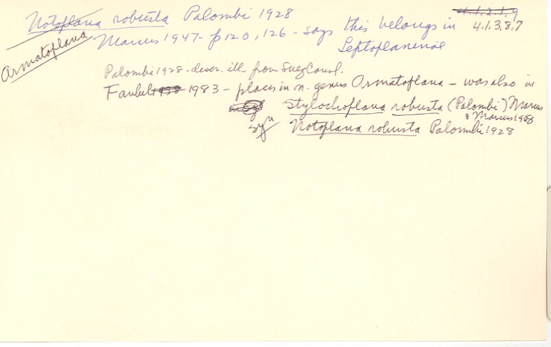 index card