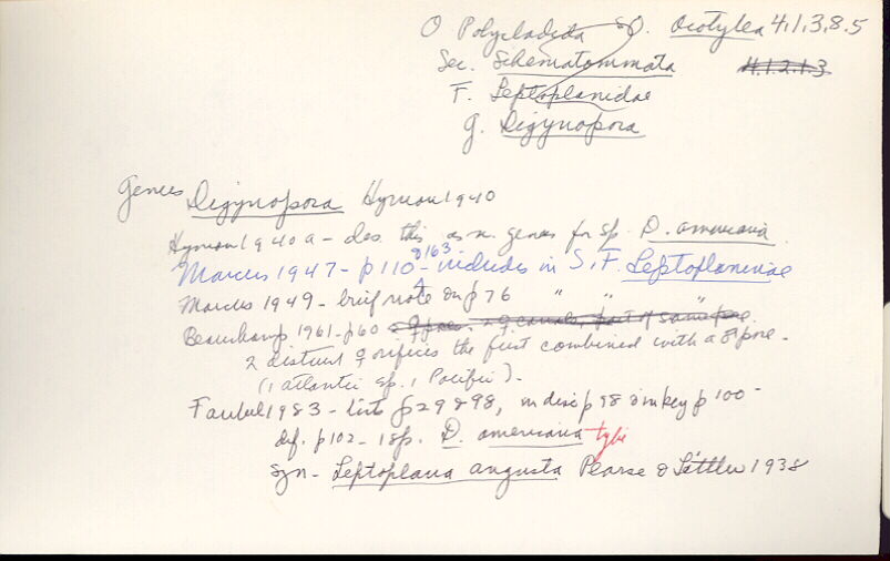 index card