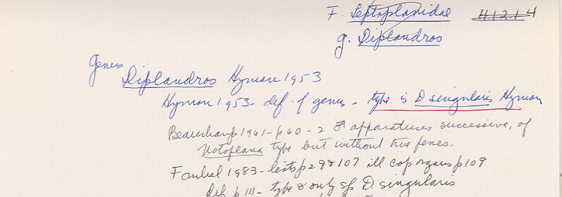 index card
