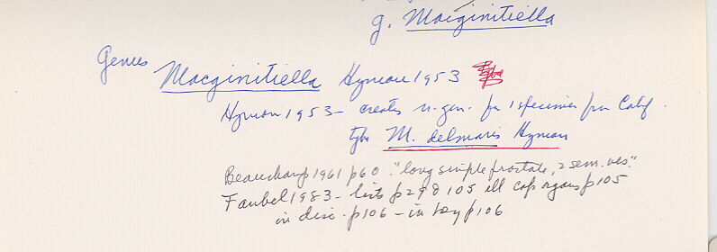 index card