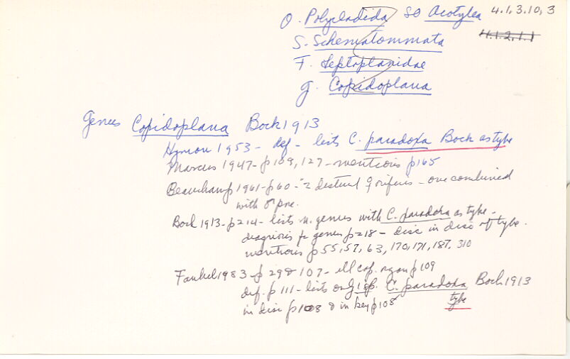 index card