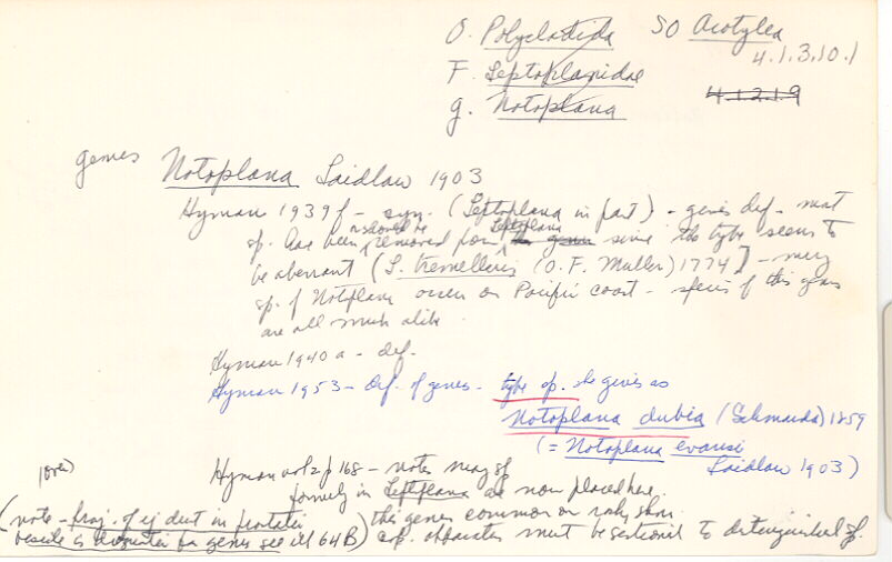 index card